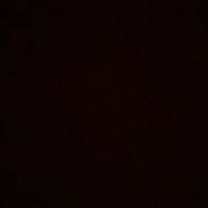 Meet your Posher, Maddi